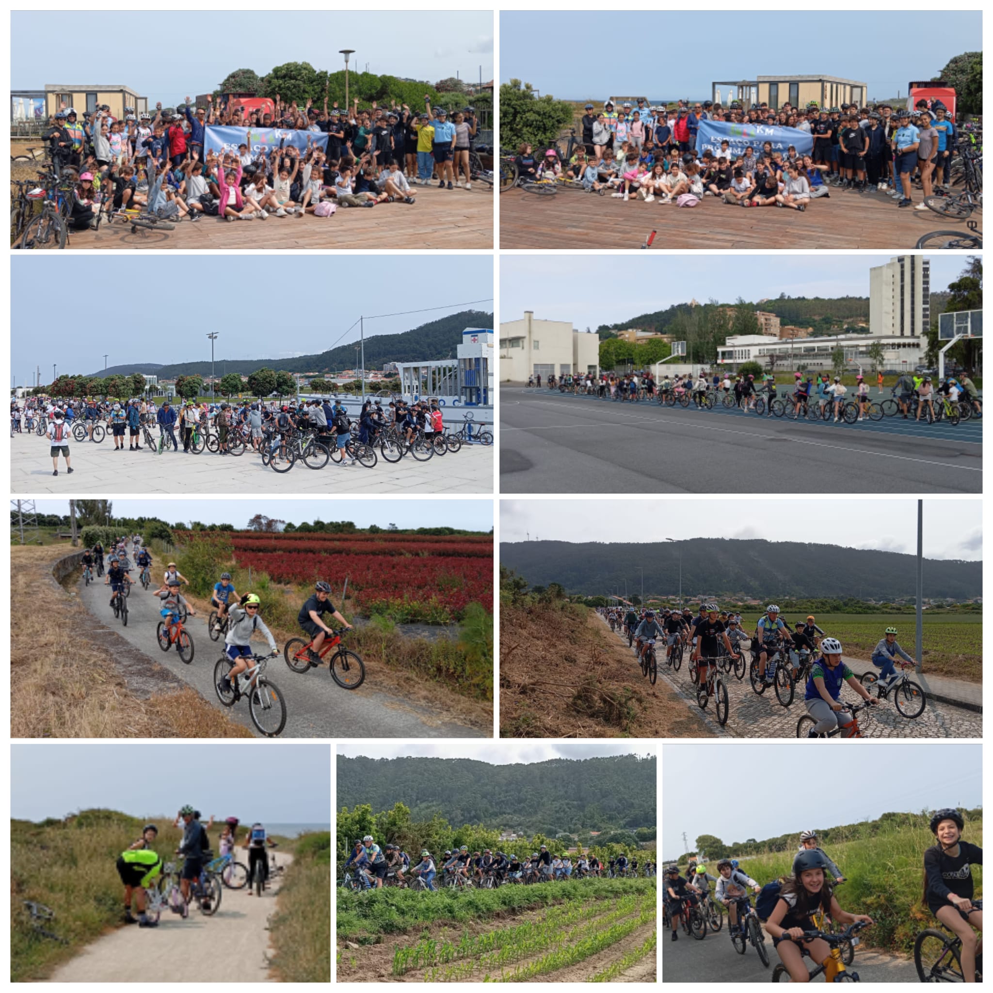 9dd1c666 4148 498a 976c 8006e34e1516